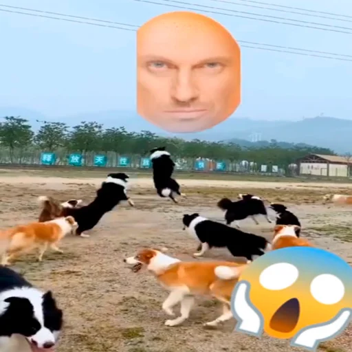 🥚 Стикер «Забавные фрукты» для Telegram