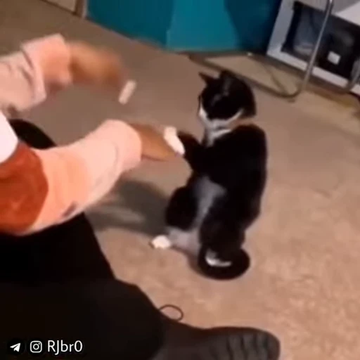 😂 Стикер «•┼⃝Ʀ︎ƇE‌T⃝‌⃪⃕.» для Telegram