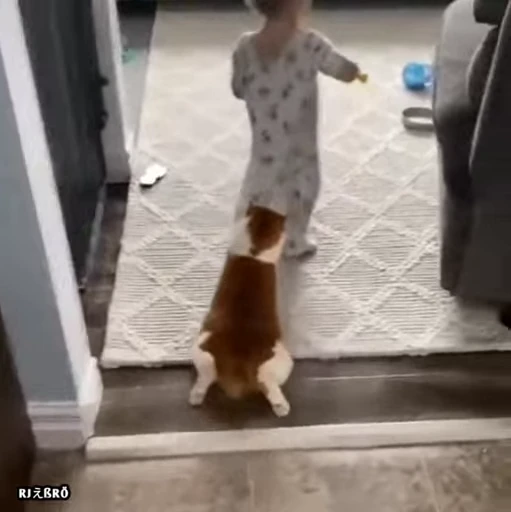 😂 Стикер «•┼⃝Ʀ︎ƇE‌T⃝‌⃪⃕.» для Telegram