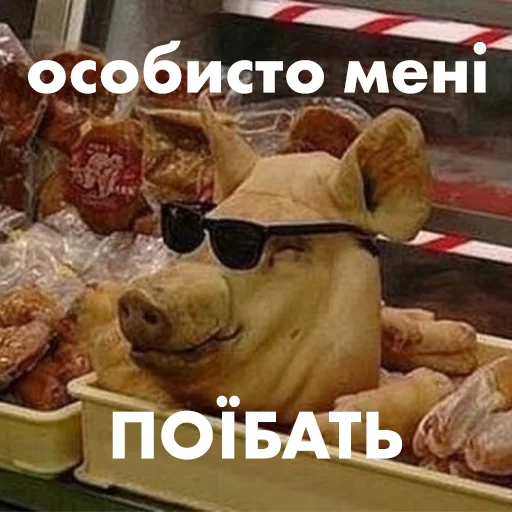 😎 Стикер «угарні свині» для Telegram