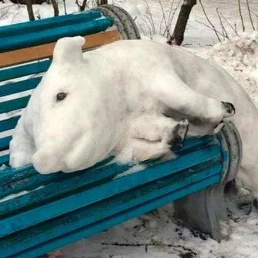 ⛄️ Стикер «угарні свині» для Telegram