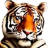 🐯 Эмодзи «roflan4ik» для Telegram