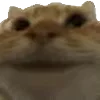 Стикер 59 Roflmoji