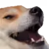 Стикер 42 Roflmoji