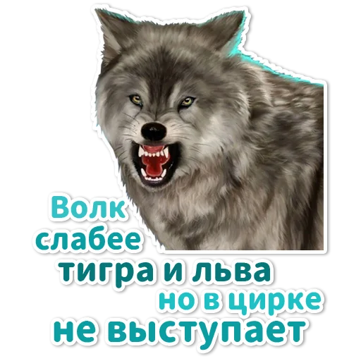 🎪 Стикер «Клуб Романтики» для Telegram