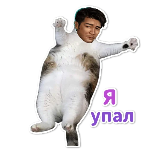 😿 Стикер «Клуб Романтики» для Telegram