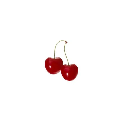 🥀 Стикер «Rosaria» для Telegram