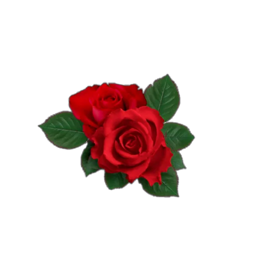 🌹 Стикер «Rosedea» для Telegram