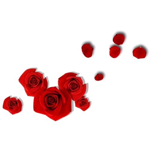 🌹 Стикер «Rosedea» для Telegram