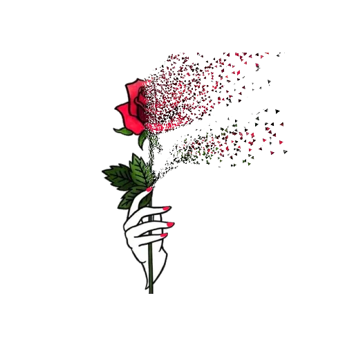 🌹 Стикер «Rosedea» для Telegram
