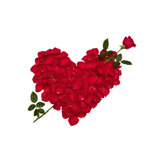 ❣️ Стикер «Rosedea» для Telegram