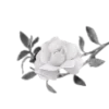 Эмодзи Rose doll для Telegram — скачать