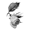 Стикер 56 rose garden #girl