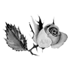 Стикер 60 rose garden #girl