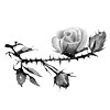 Стикер 42 rose garden #girl