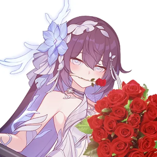 🌹 Стикер «Любимые девочки Honkai Impact 3rd» для Telegram