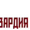 🫡 Эмодзи «Росгвардия» для Telegram