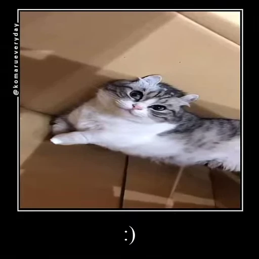 🙂 Стикер «VideoKomaru3» для Telegram