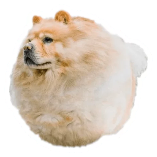 🐶 Стикер «Round Animals» для Telegram
