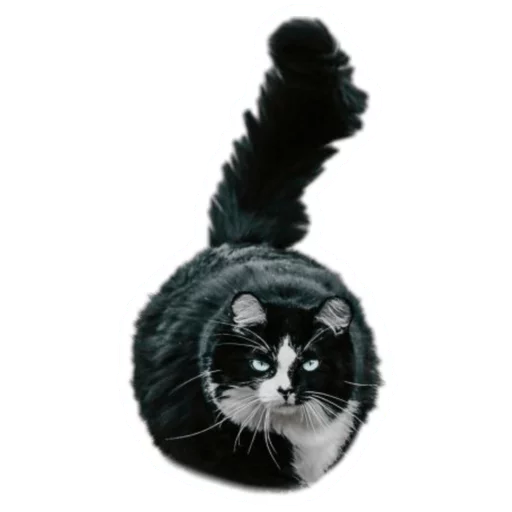 🐱 Стикер «Round Animals» для Telegram