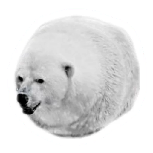🐻 Стикер «Round Animals» для Telegram