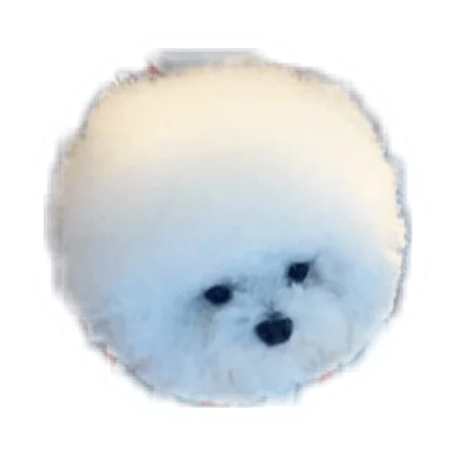 🐶 Стикер «Round Animals» для Telegram