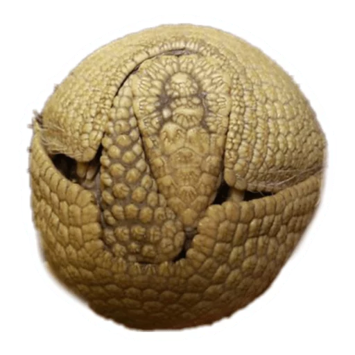 🏐 Стикер «Round Animals» для Telegram