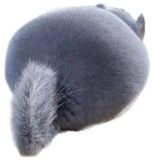 🐭 Стикер «Round Animals» для Telegram