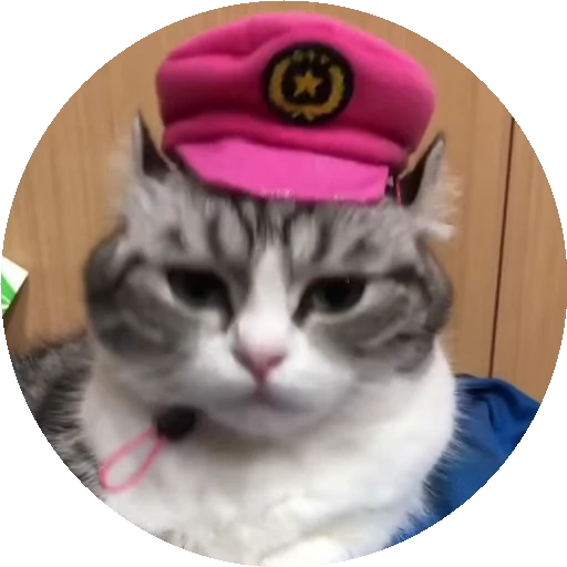 👮‍♂️ Стикер «RoundKomaru» для Telegram
