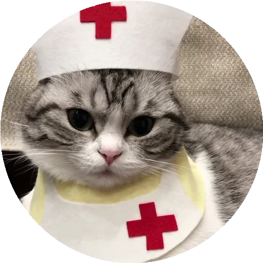 🚑 Стикер «RoundKomaru» для Telegram