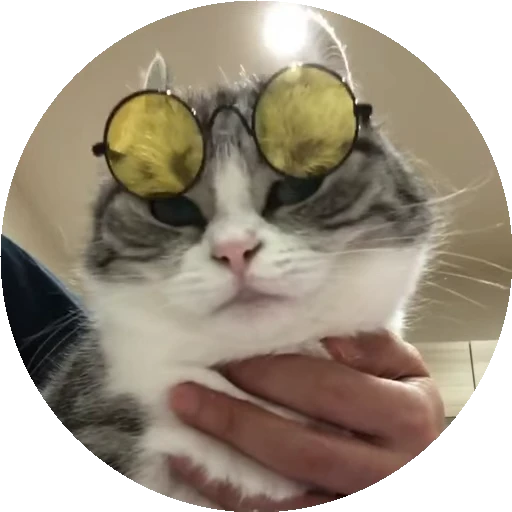 😎 Стикер «RoundKomaru» для Telegram