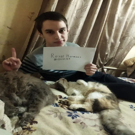 💙 Стикер «Royal Harmony» для Telegram