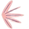 Стикер 27 Random ₄