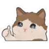 Стикер 15 🐱🐱 random emoji