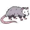 Стикер 16 🐱🐱 random emoji