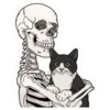 Стикер 55 🐱🐱 random emoji