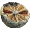 🫥 Эмодзи «Rotten core» для Telegram