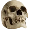 🫥 Эмодзи «Rotten core» для Telegram