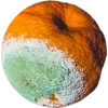 🫥 Эмодзи «Rotten core» для Telegram