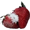 🫥 Эмодзи «Rotten core» для Telegram