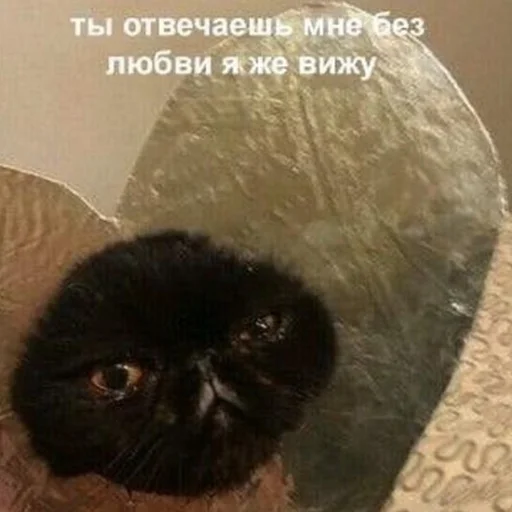 😡 Стикер «luv» для Telegram