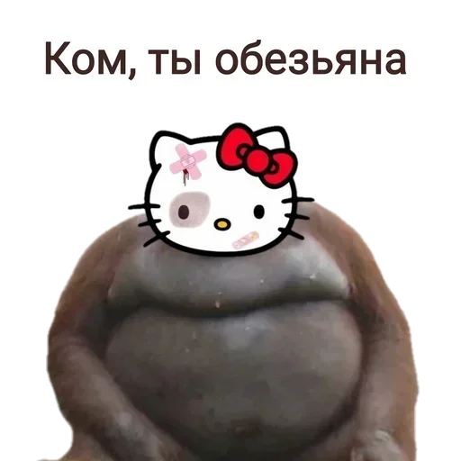 🙈 Стикер «Не повышай на меня БУКВЫ» для Telegram
