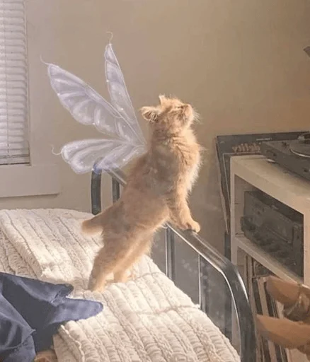 🤗 Стикер «Sorrrrryyyy?» для Telegram
