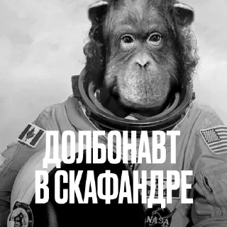 Стикер 7 Креативно Ругаем Студентов