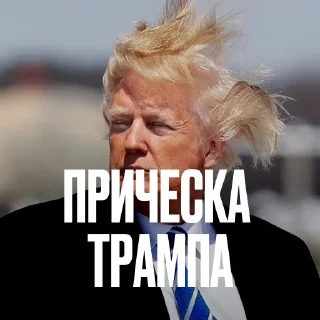 Стикер 2 Креативно Ругаем Студентов