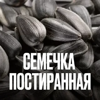Стикер 15 Креативно Ругаем Студентов