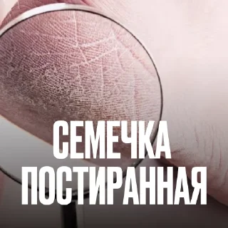 Стикер 16 Креативно Ругаем Студентов