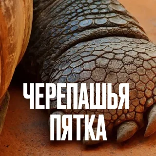Стикер 10 Креативно Ругаем Студентов