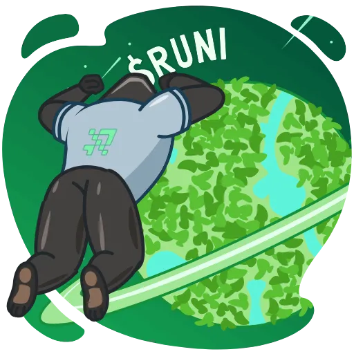 🌴 Стикер «Runes Terminal» для Telegram