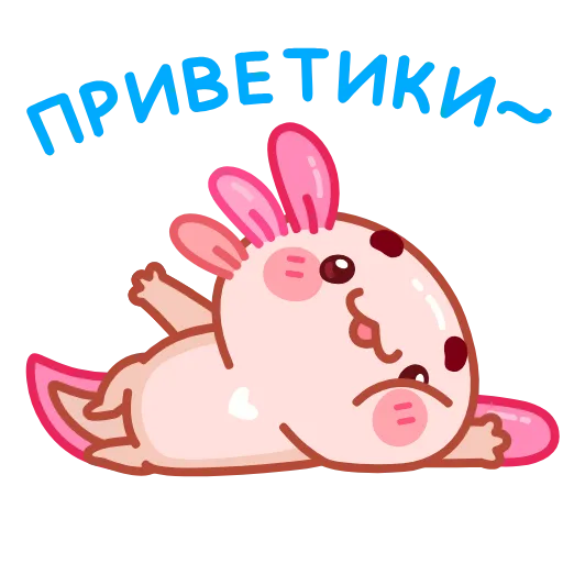 Обложка набора Руру